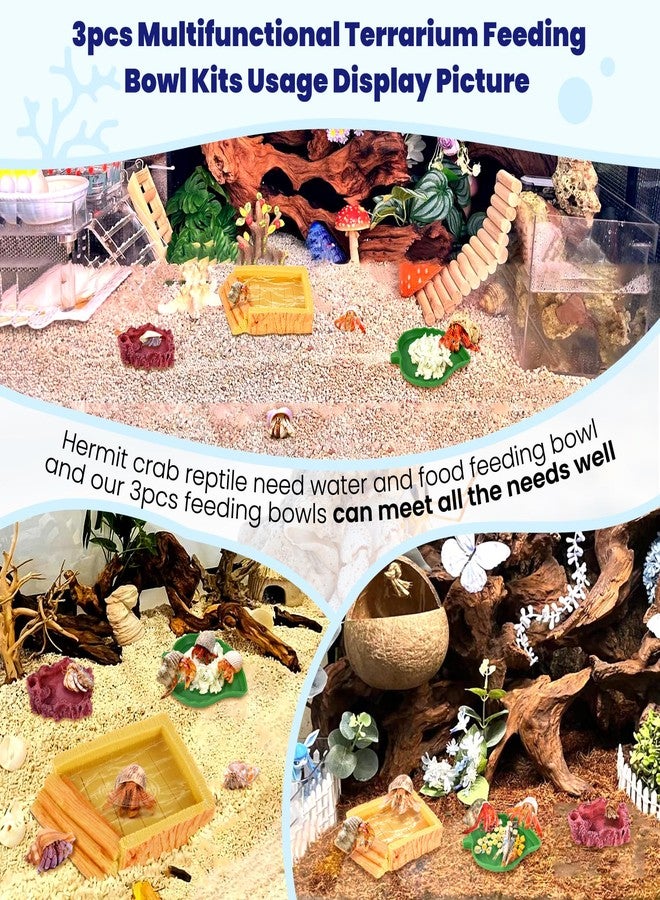 NestBasics 5 Pack Hermit Crab Water Pool Hermit Crab Food Bowl Dish Reptile Terrarium Water Bowls Reptile Starter Kits Accessories for Hermit Crab Leopard Gecko Frog Spider Lizard Turtle Bearded Dragon etc - Image 3